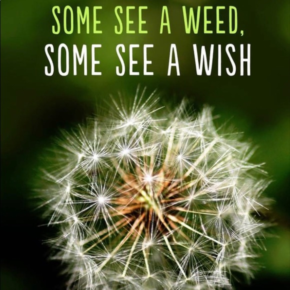 Hi This is Samson & I’m Kathy! I’m So glad you stopped by - I love offers ♥️🙏🛍 - Picture 6 of 15